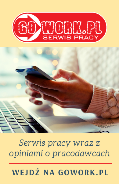 Oferty pracy